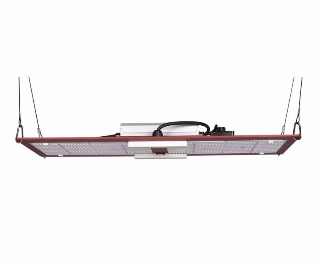250W High-End LED HLG 300L RSPEC