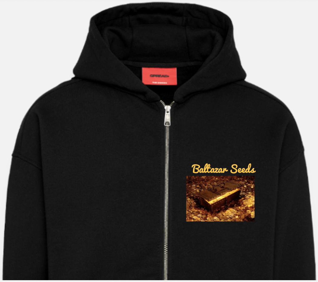 Baltazar Merch