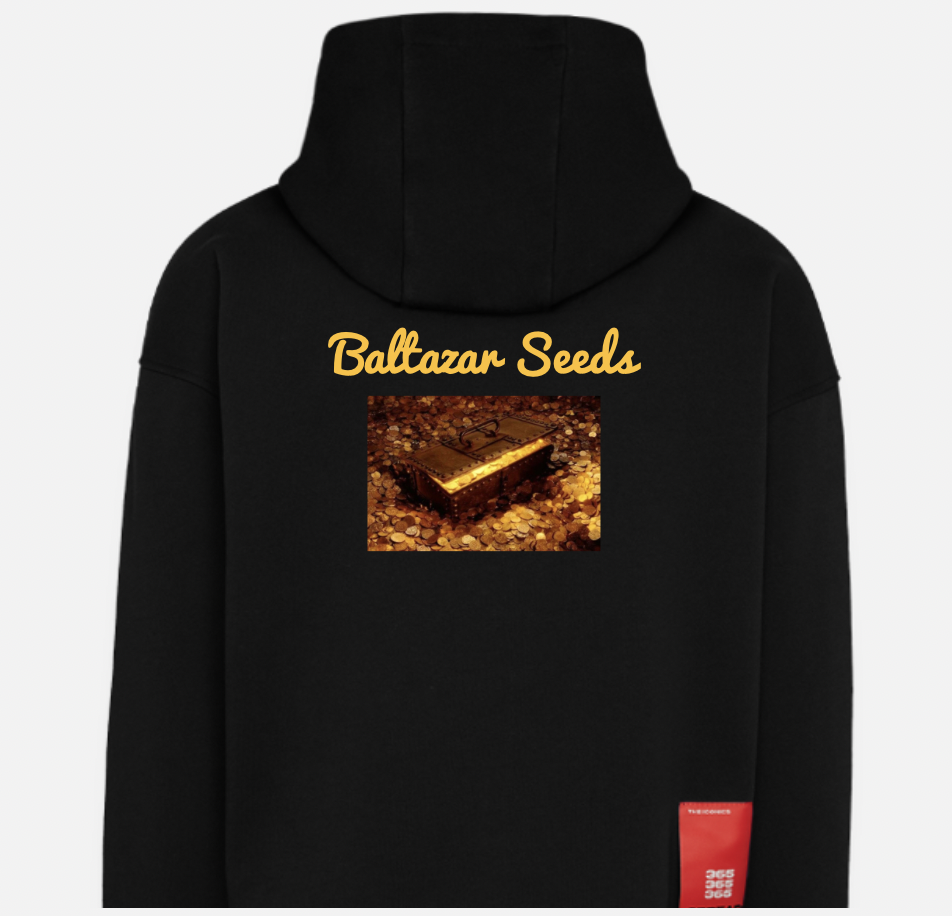 BALTAZAR MERCH - XL Black Hoody Side