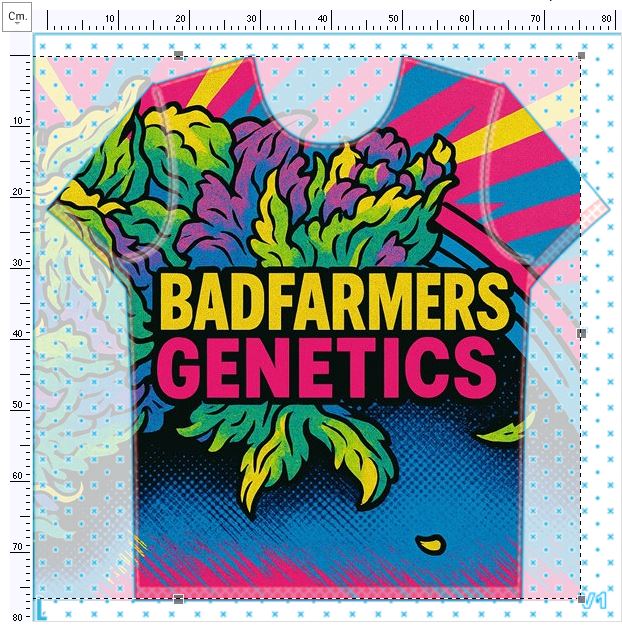 Baltazar Merch