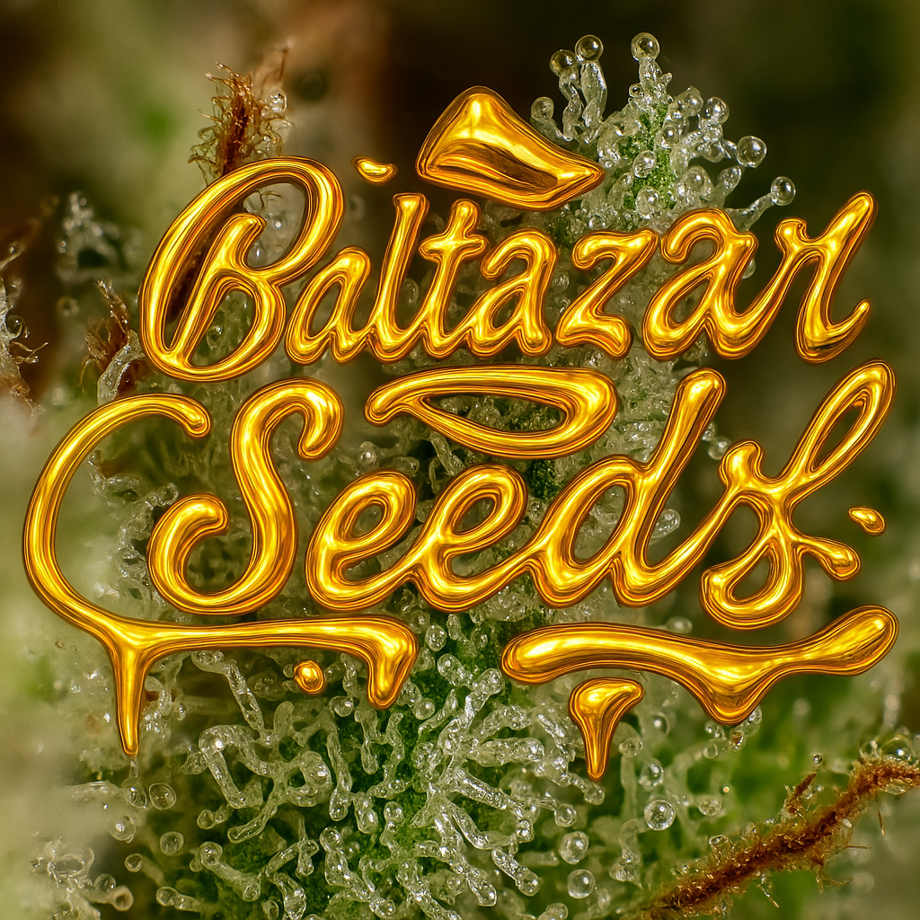 Baltazar Ultra
