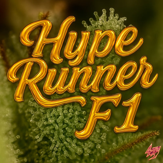 Hype Runner F1