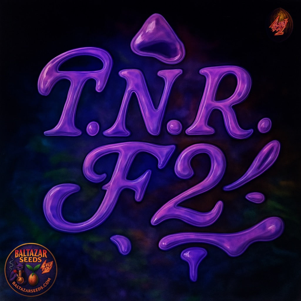 T.N.R. F2